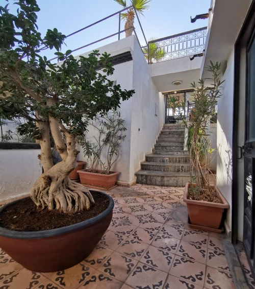 Ryad Laârouss image 5